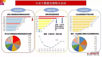 中國大數(shù)據(jù)產(chǎn)業(yè)發(fā)展評估報(bào)告 2017年 發(fā)布 完整版ppt